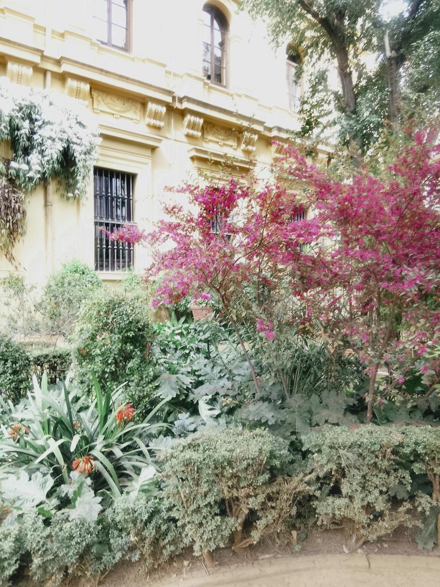 Apartamento Precioso Estudio En El Corazon De Granada