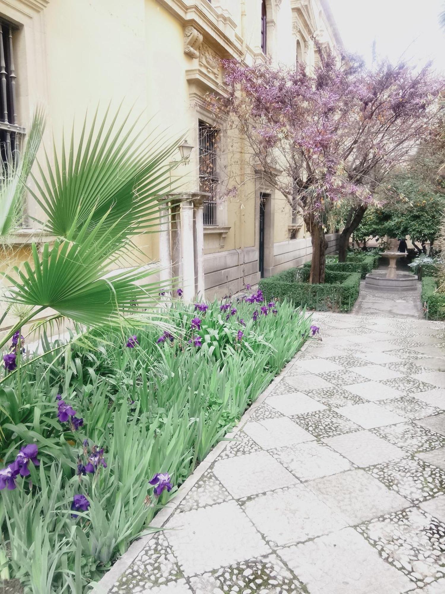 Apartamento Precioso Estudio En El Corazon De Granada