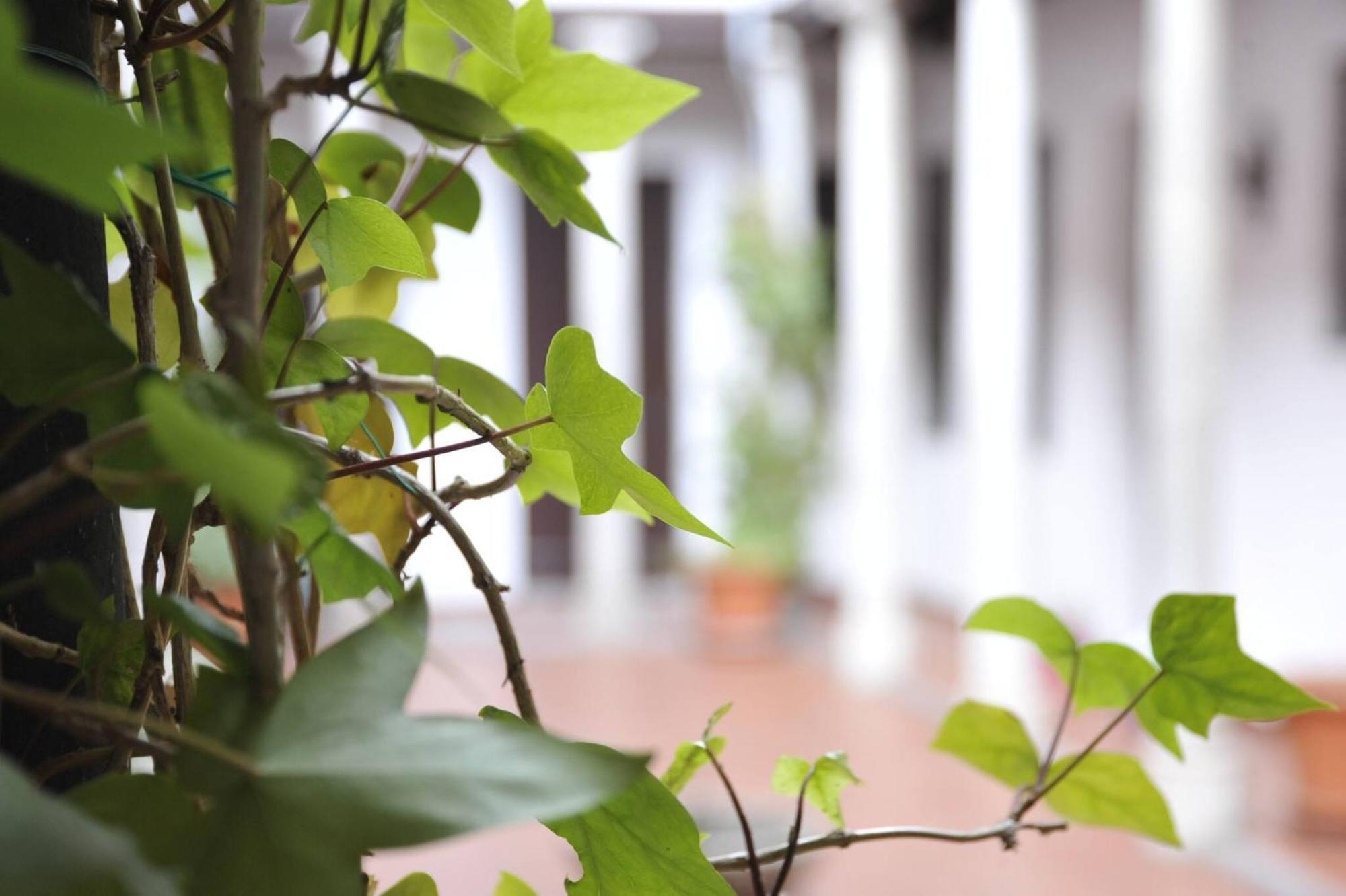 Adanar-Las Columnas Apartment