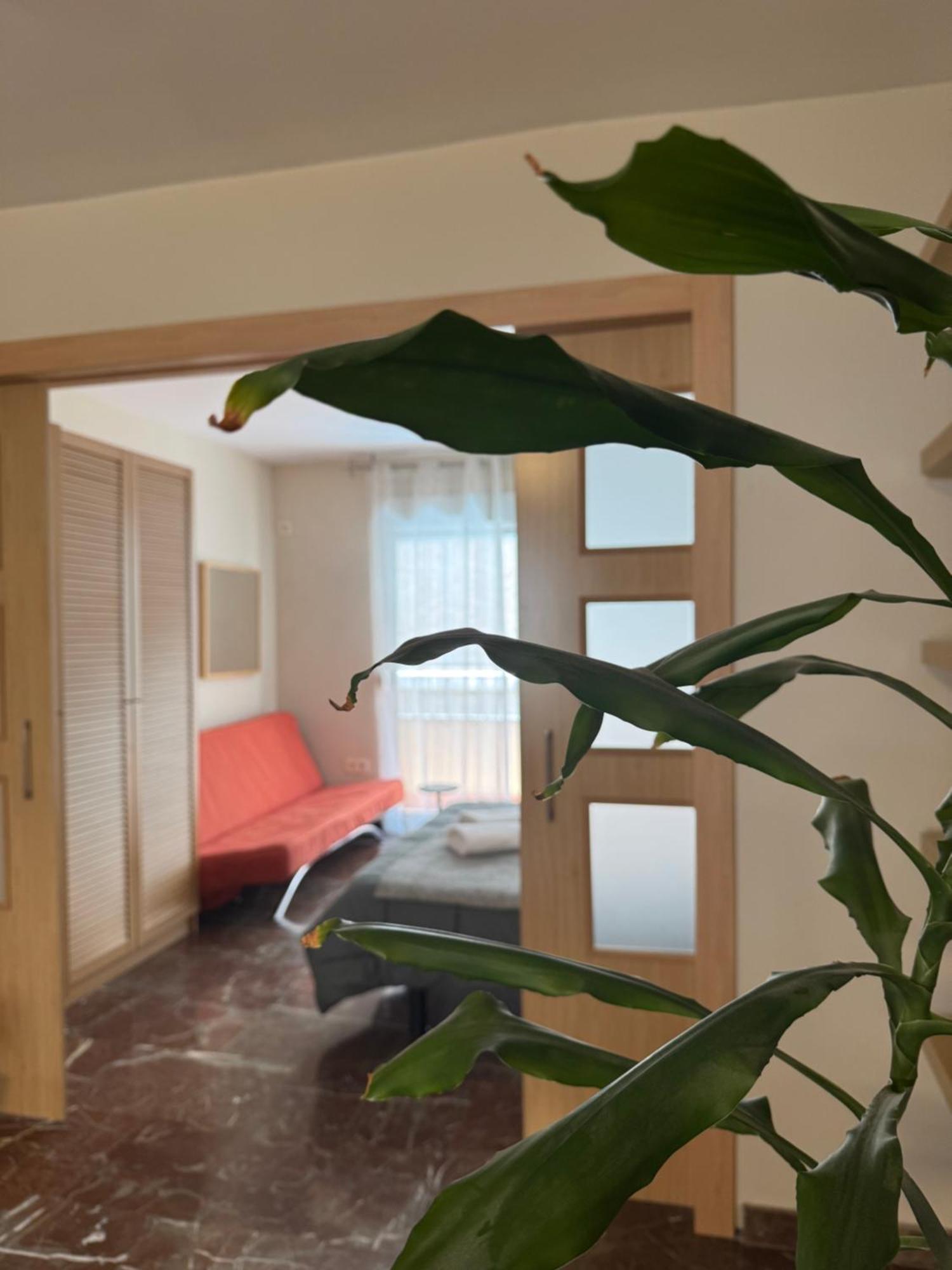 Apartment Constitucion Confort D *