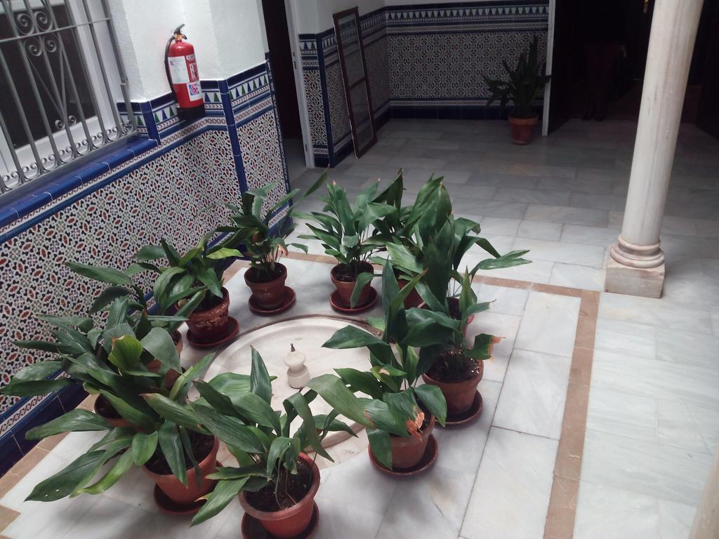 Apartamento Valentina Deluxe 3000 Granada