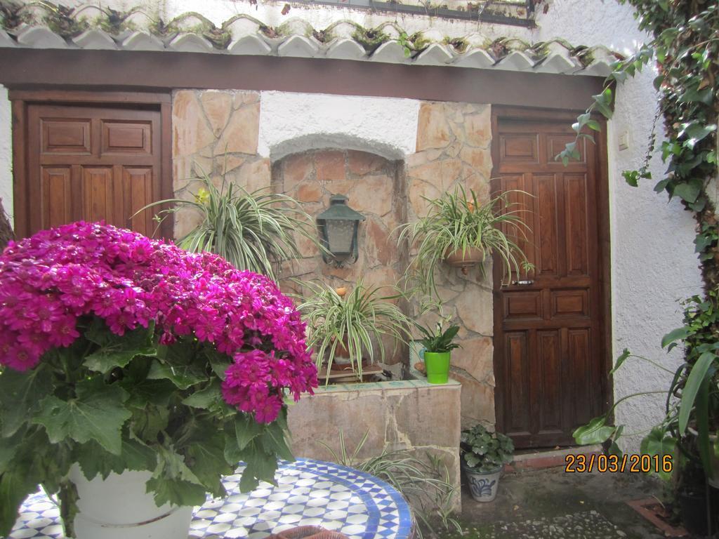 Patio Apartamento