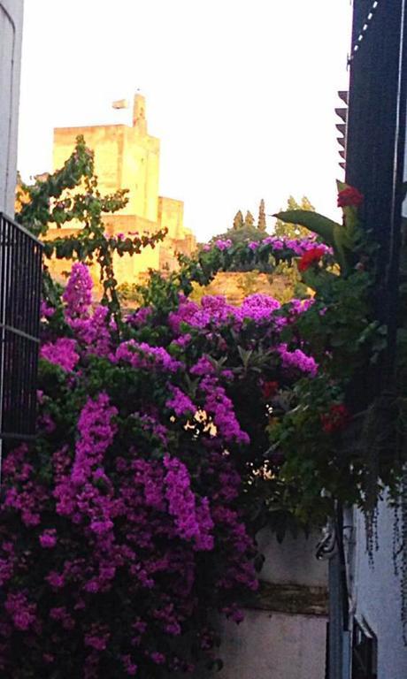 Apartamento Casa Callejon De Echevarria