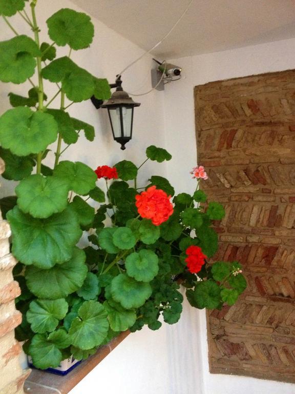 Apartamento Casa Callejon De Echevarria