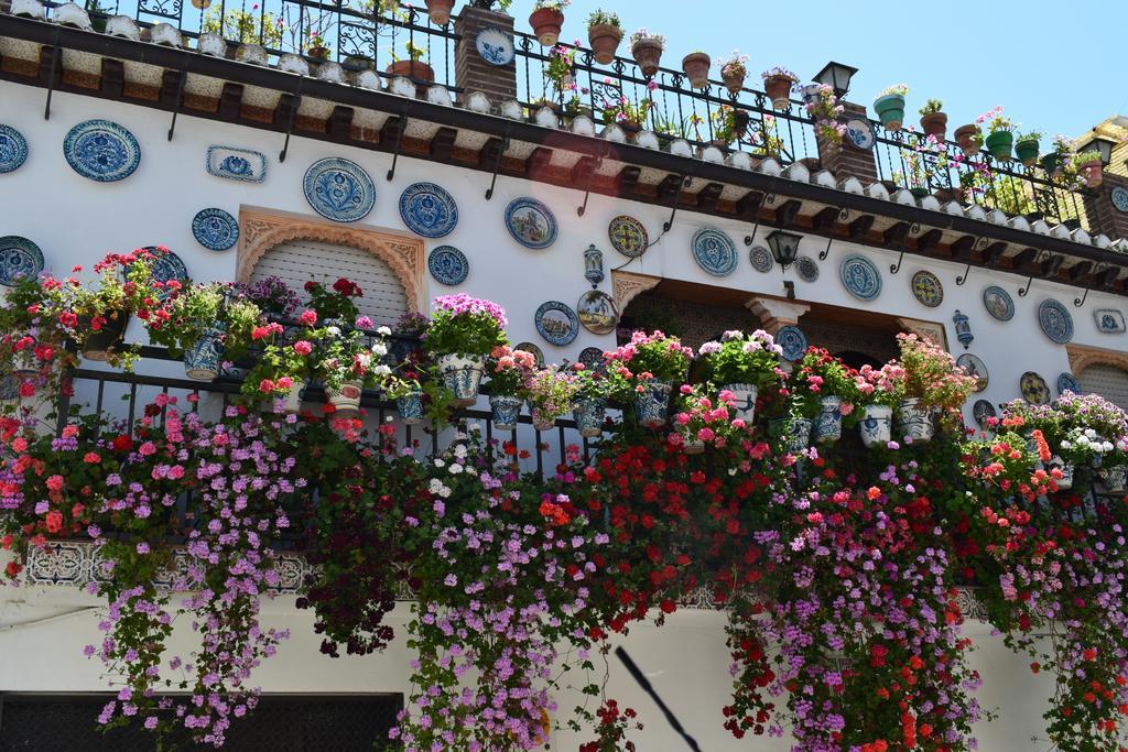 Apartamento Carmen De Ramilla