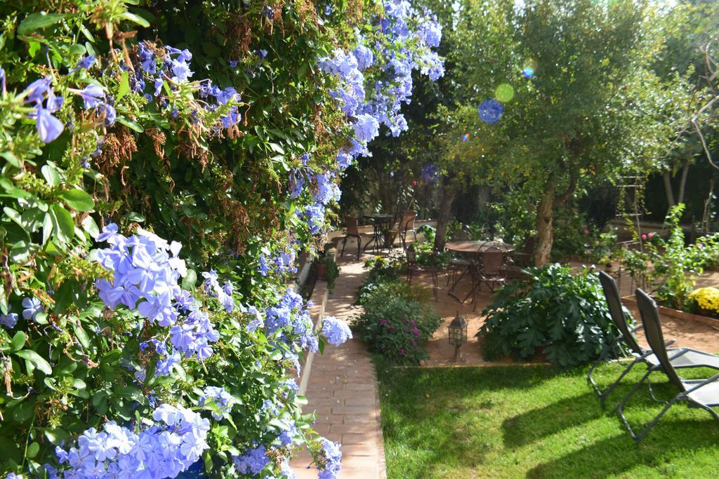 Apartamento Carmen De Ramilla