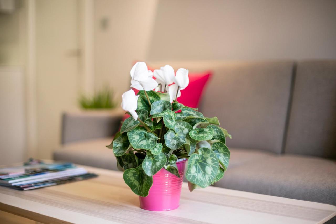 Apartamento Cielo