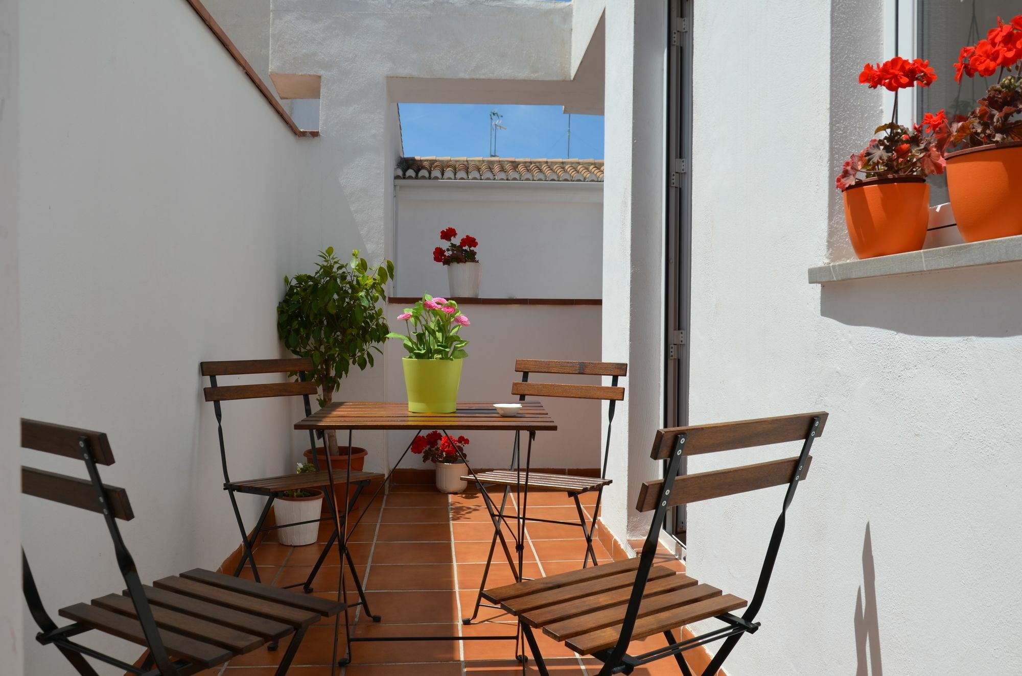 San Isidro 44