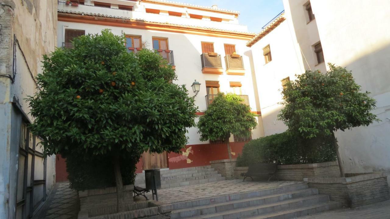 Apartamento Elvira Apartamento Granada