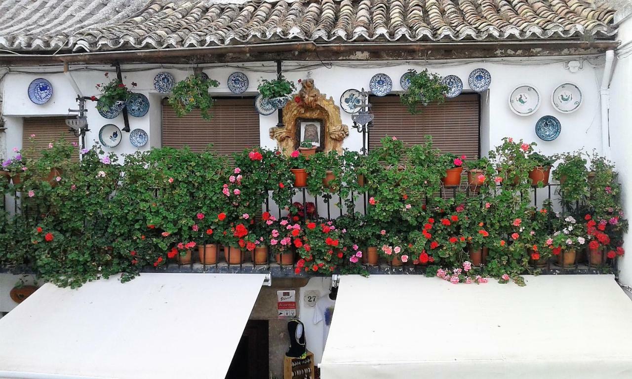 Esmeralda's House