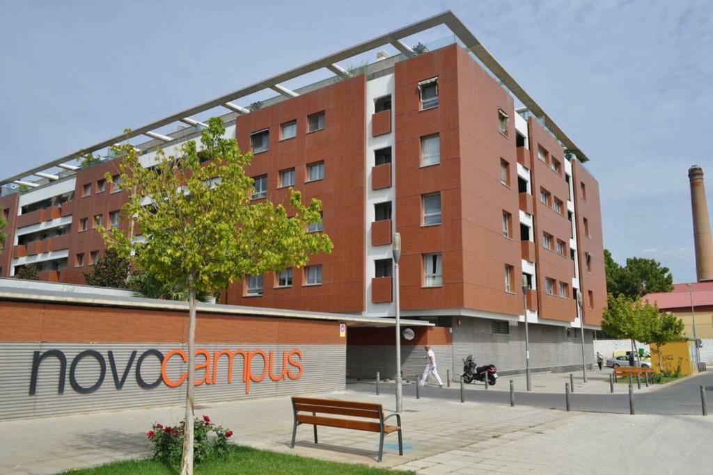 Vivecampus Granada