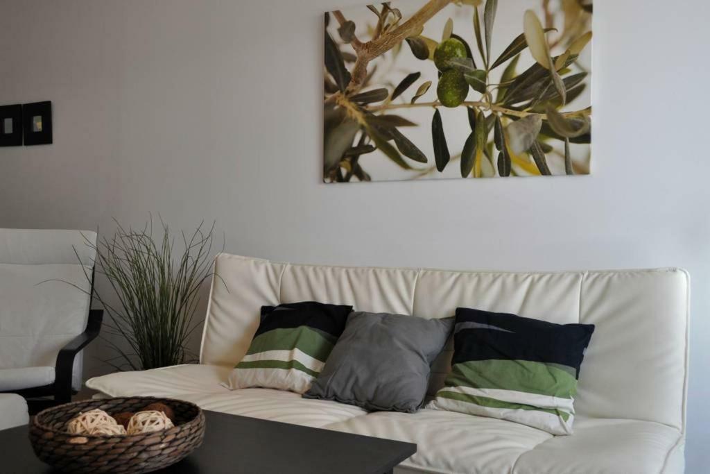 Apartamento Vivecampus