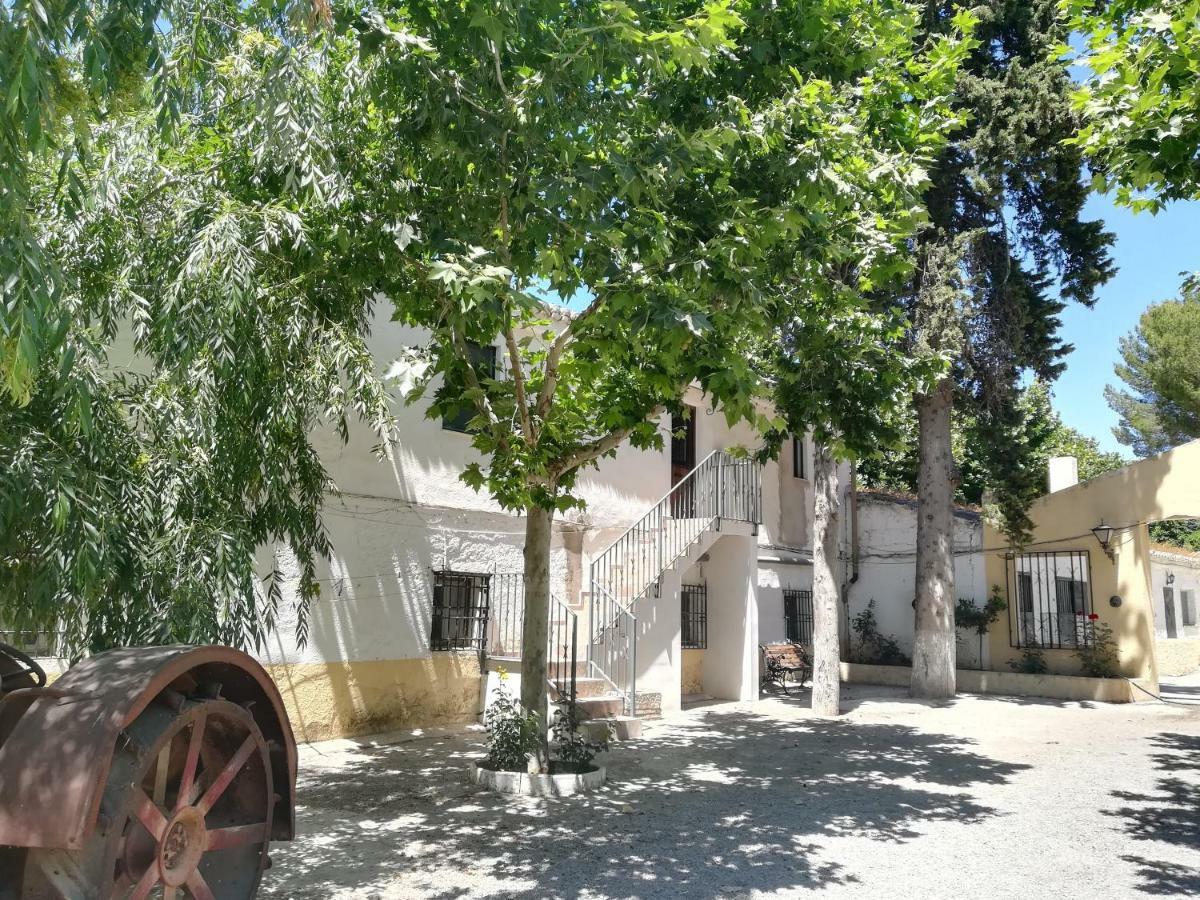 Bajo De Bular Granada