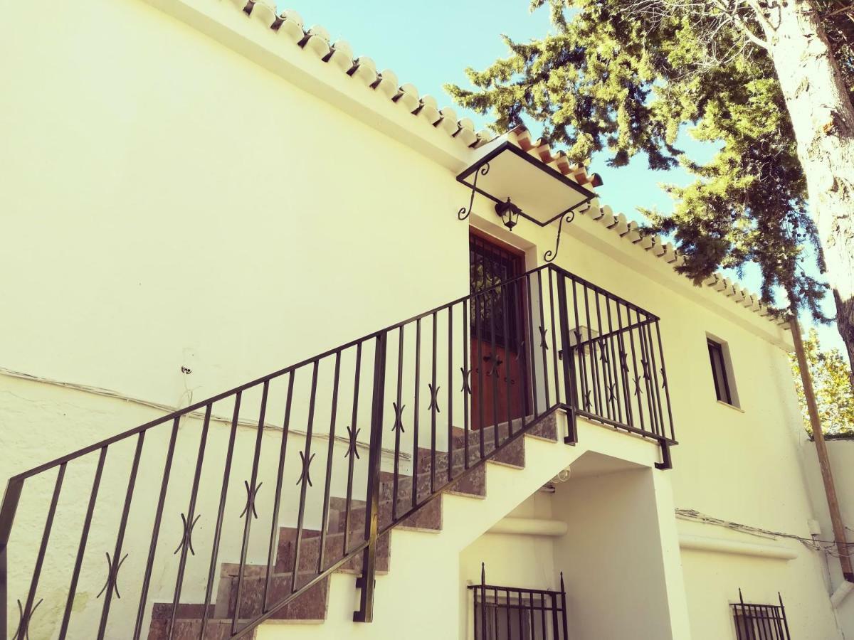 Bajo De Bular Granada