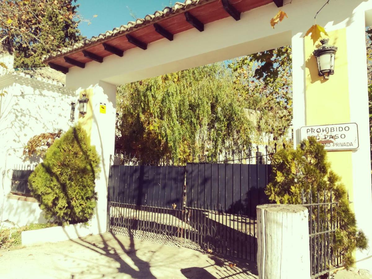 Bajo De Bular Granada
