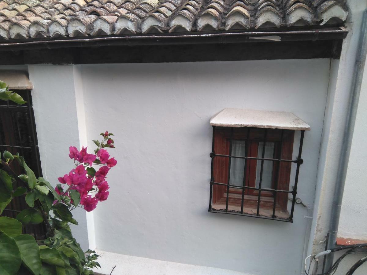 Apartamento Casa-mirador La Alhacena