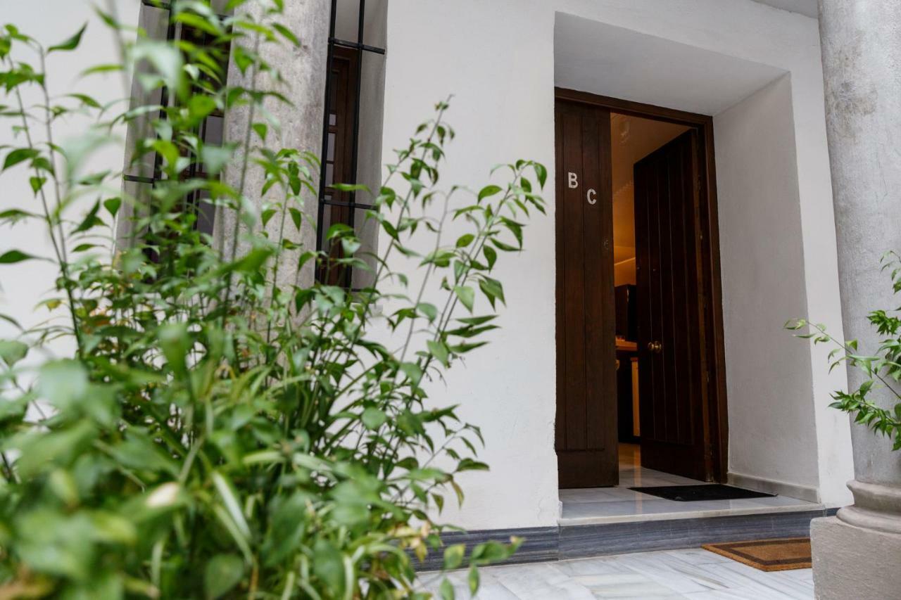Meraki Dauro Apartamento Granada