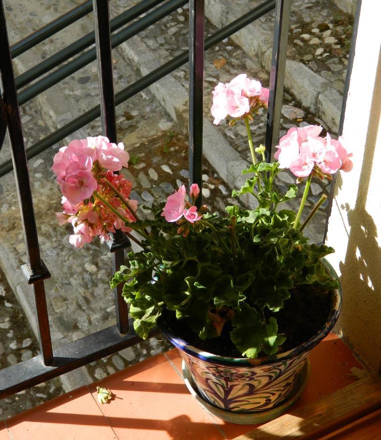 Apartamento Escapadas Romanticas En Jacuzzi