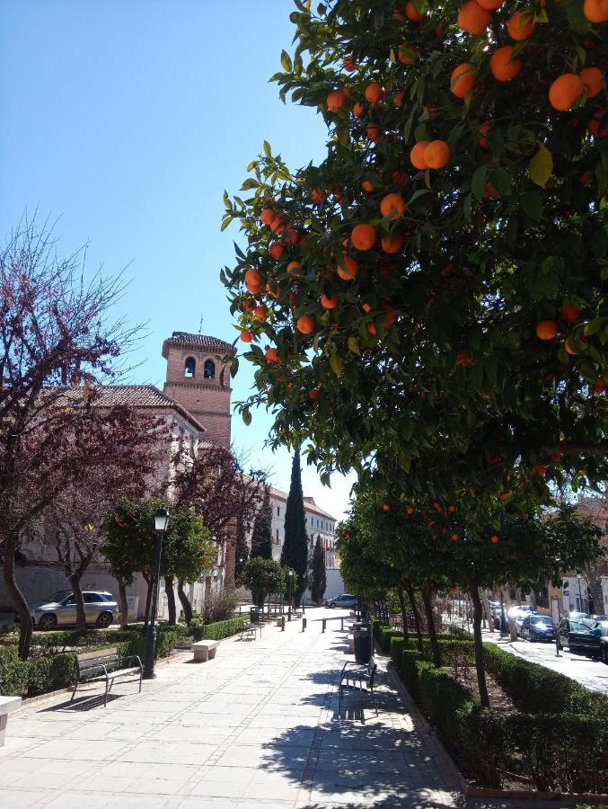 Apartamento Cueva La Taracea Granada