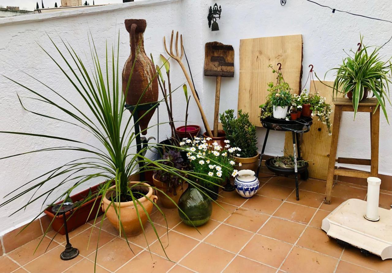 Habitación en casa particular Casa Guidai *