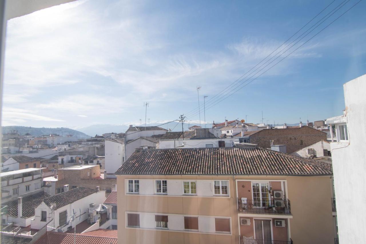 En Zona Centro De Apartamento