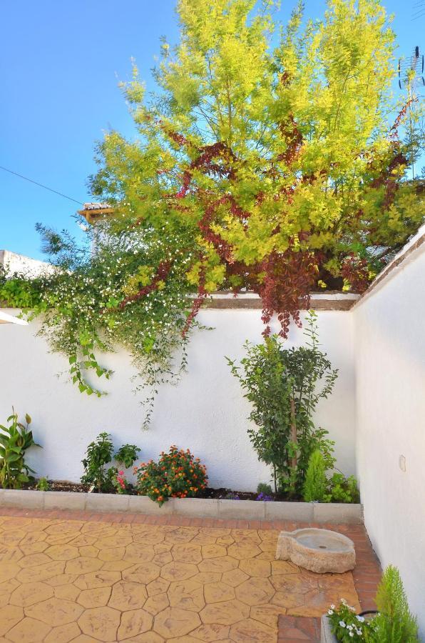 Villa Casa Limon Patio Y Parking