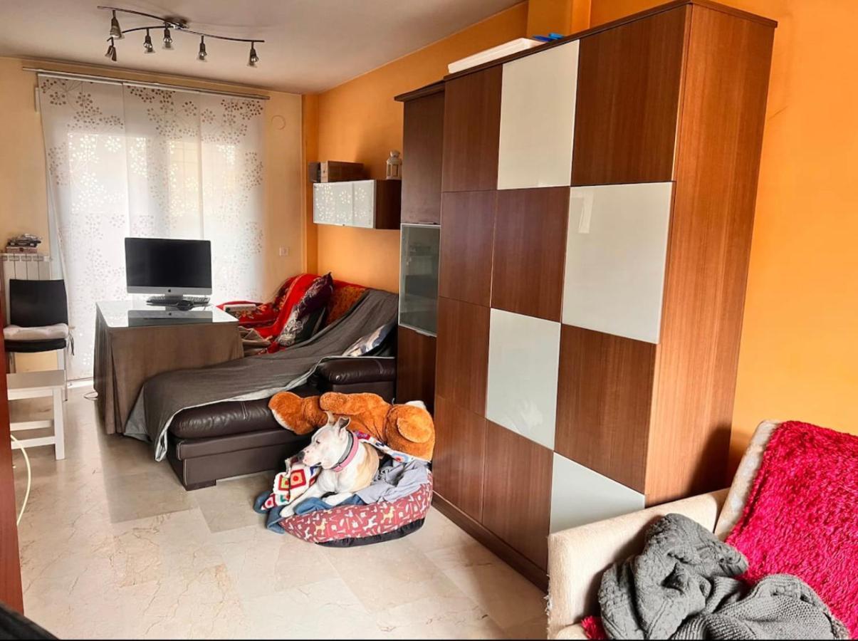 Casa Ideal Familias Y Grupos Con Balcones Exterior Soleada Patios Cerca Alhambra, Sierra Nevada, Rio Genil, Lancha Del Genil, Parque Llano Y Reloj Del Sol Con Barbacoas, Campo De Futbol, Circuito Gimnasia Homestay Granada
