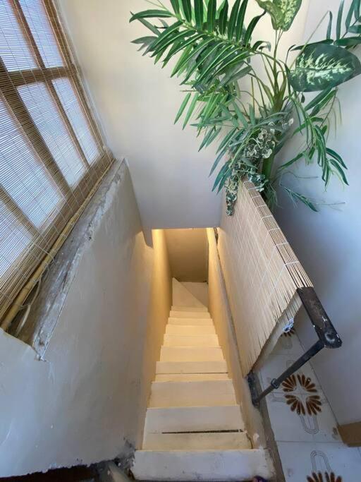 Apartment Azotea Elvira