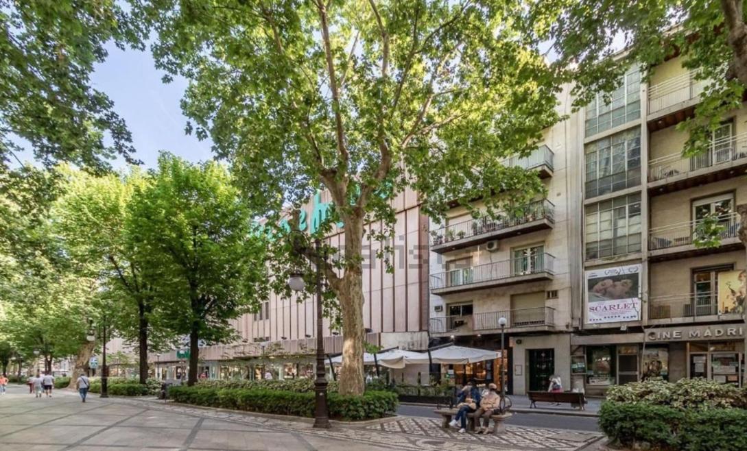 Apartamento Con Terraza A 4 Minutos De La Catedral Granada