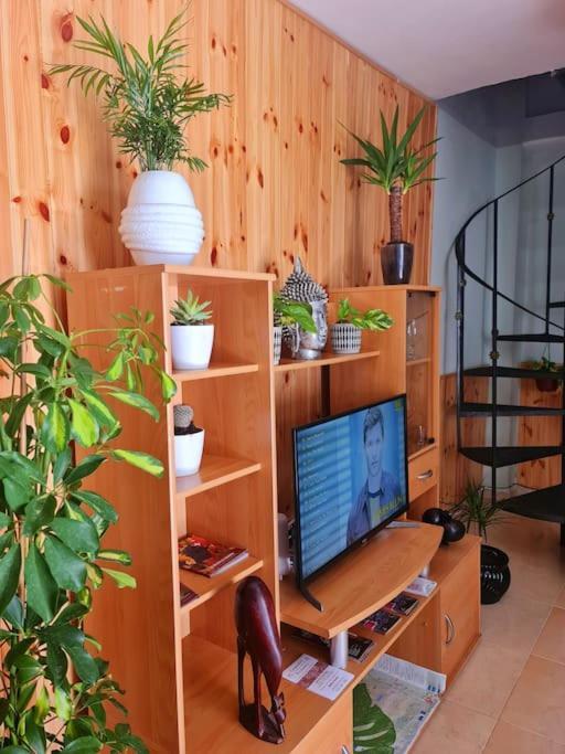 Apartamento De Ensueno Y Relax Parking Gratuito *