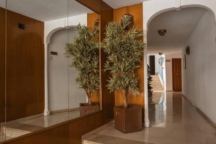 Apartamento Recogidas Centro Linda Con Balcon Granada