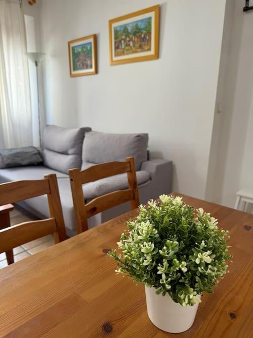 Bonito Apartamento, Tranquilo Y Centrico Apartamento *
