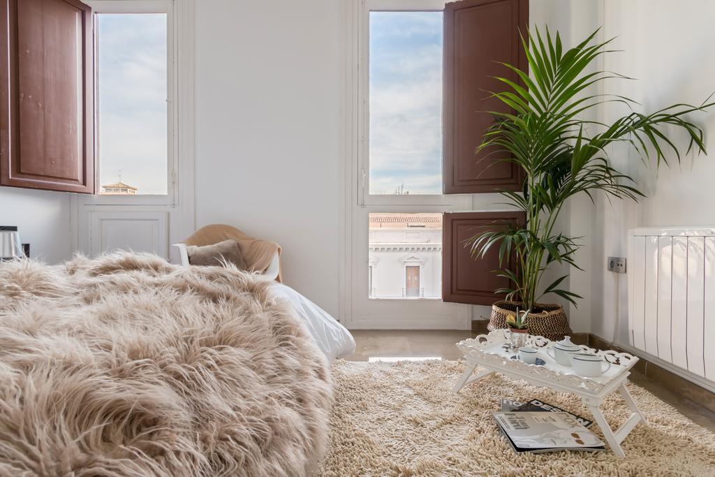 Apartamento Plaza Del Carmen Apartamento Granada