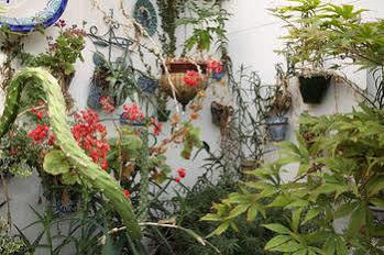 Landazuri Granada
