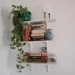 Apartamento Catedra