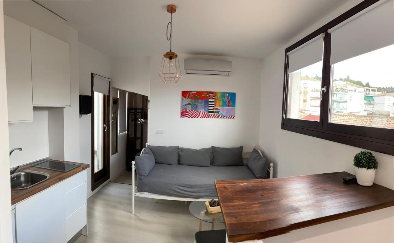 Apartamento ático. Centro. Penthouse
