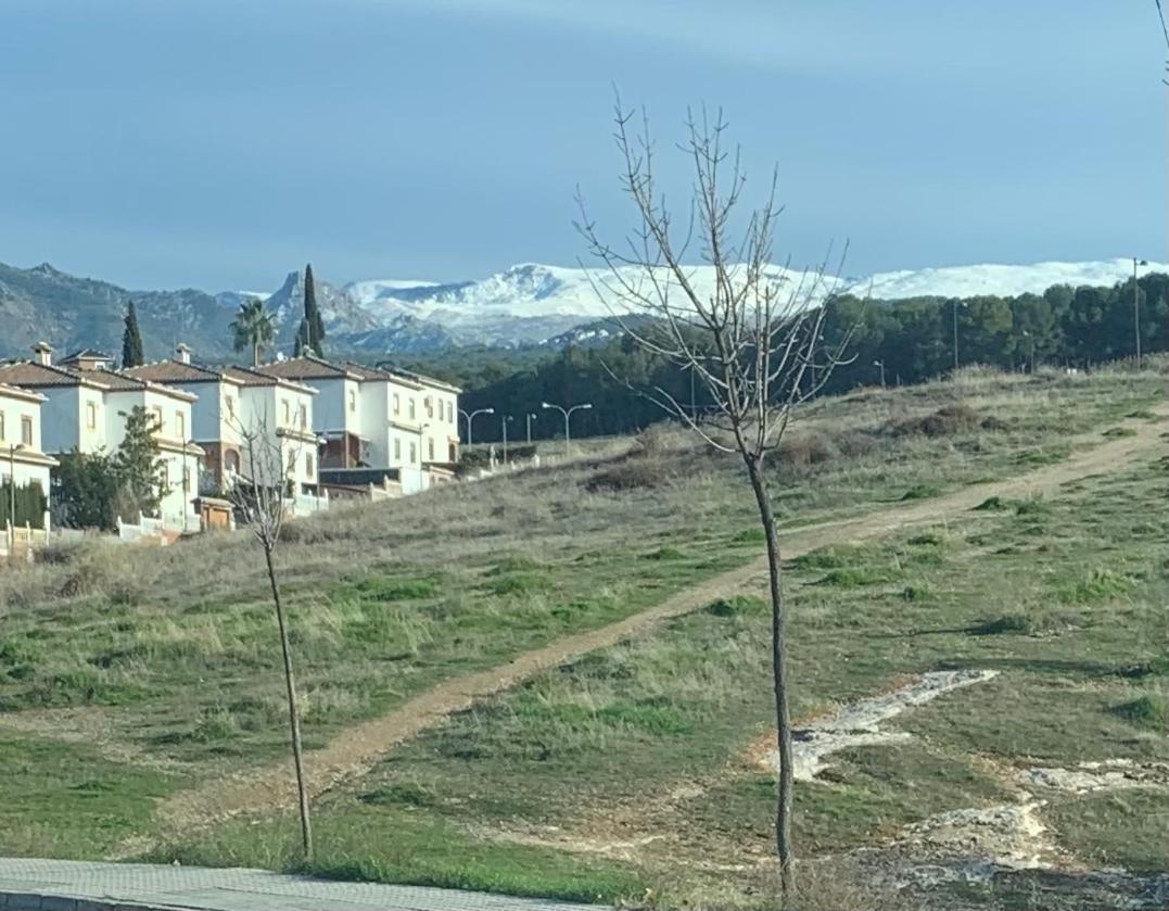 Mare, A Pies De Sierra Nevada *