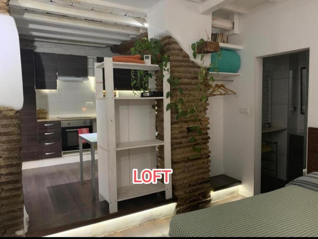 Loft Increible En El Centro