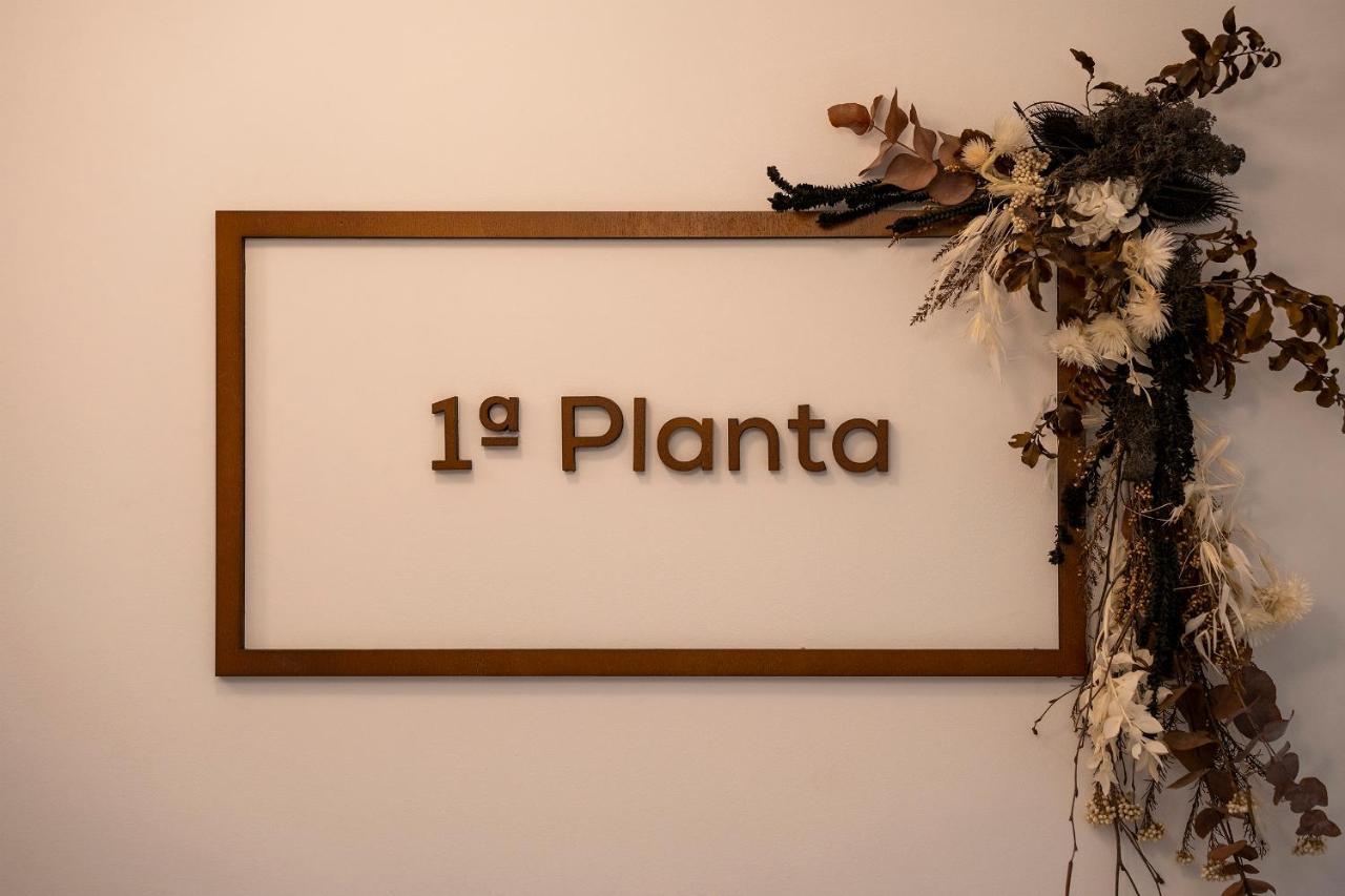 Apartamento Palatina Concept