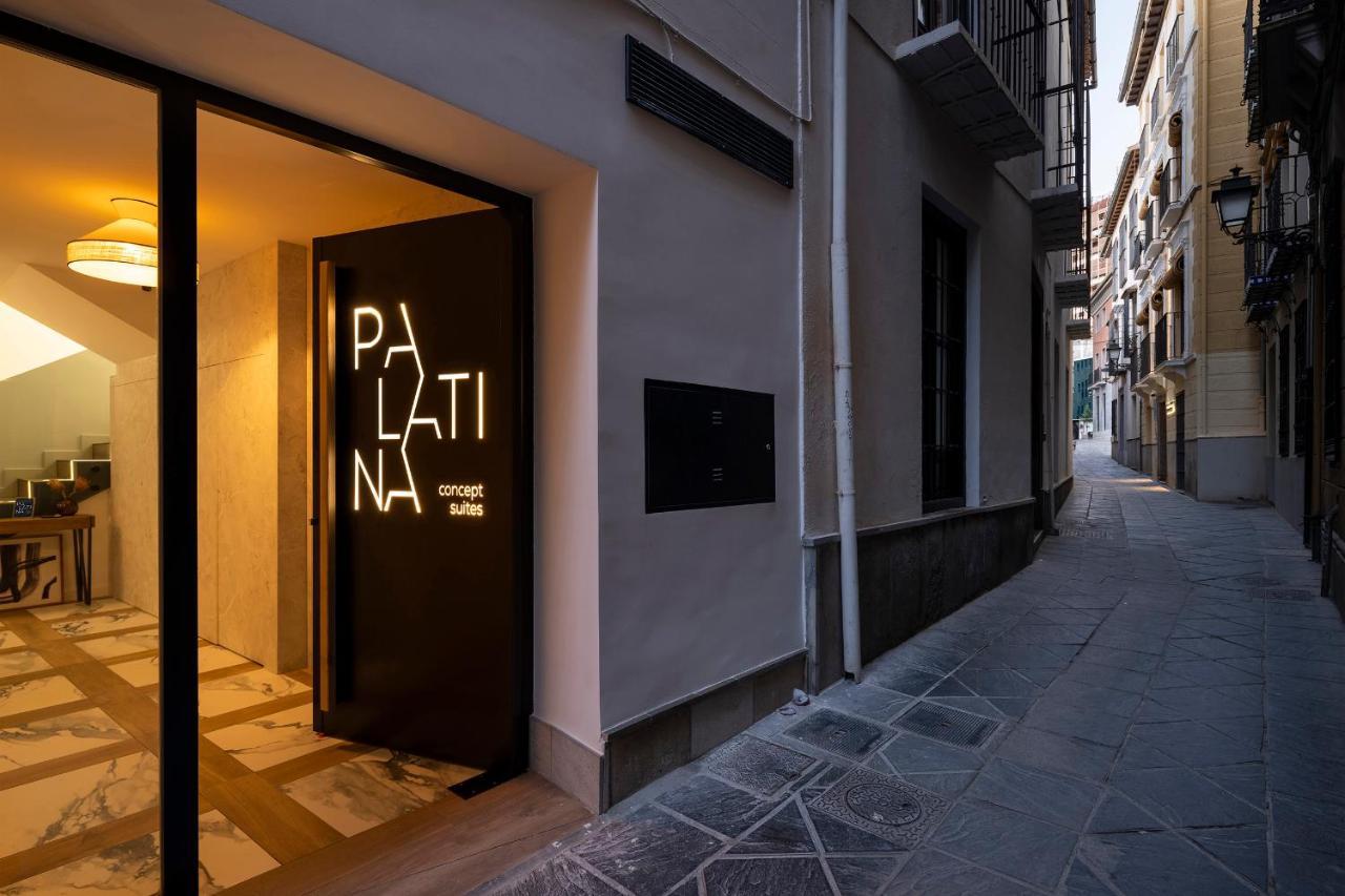 Palatina Concept *