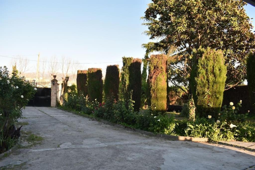 Huerta Del Medio Granada