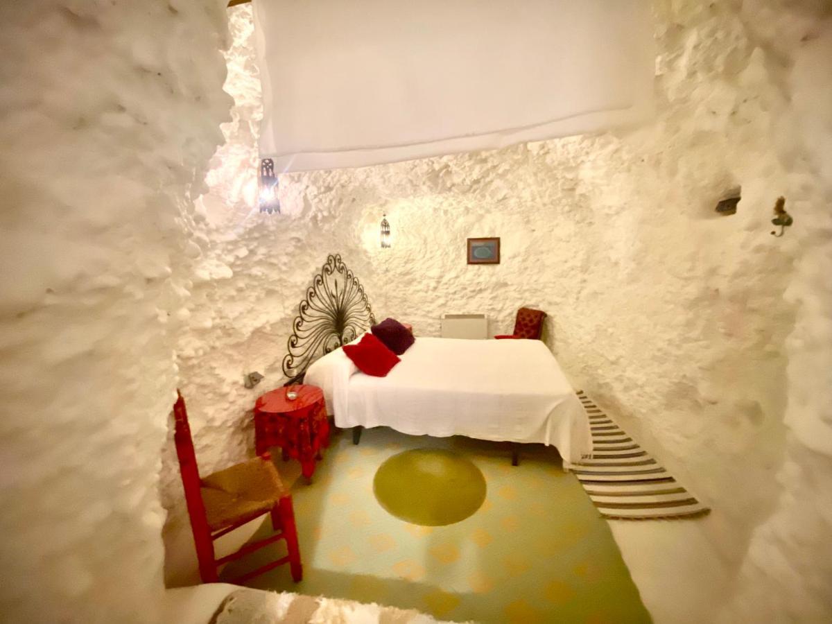Apartamento Cueva Con Vistas A La Alhambra