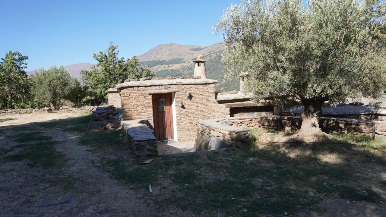 Cortijos Rey Fini Сasa de vacaciones Granada