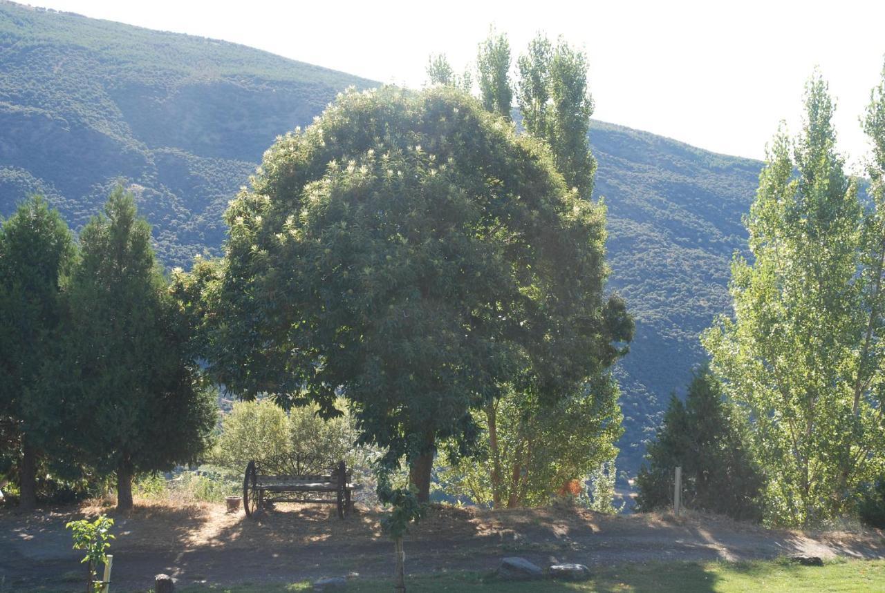Cortijos Rey Fini Сasa de vacaciones Granada