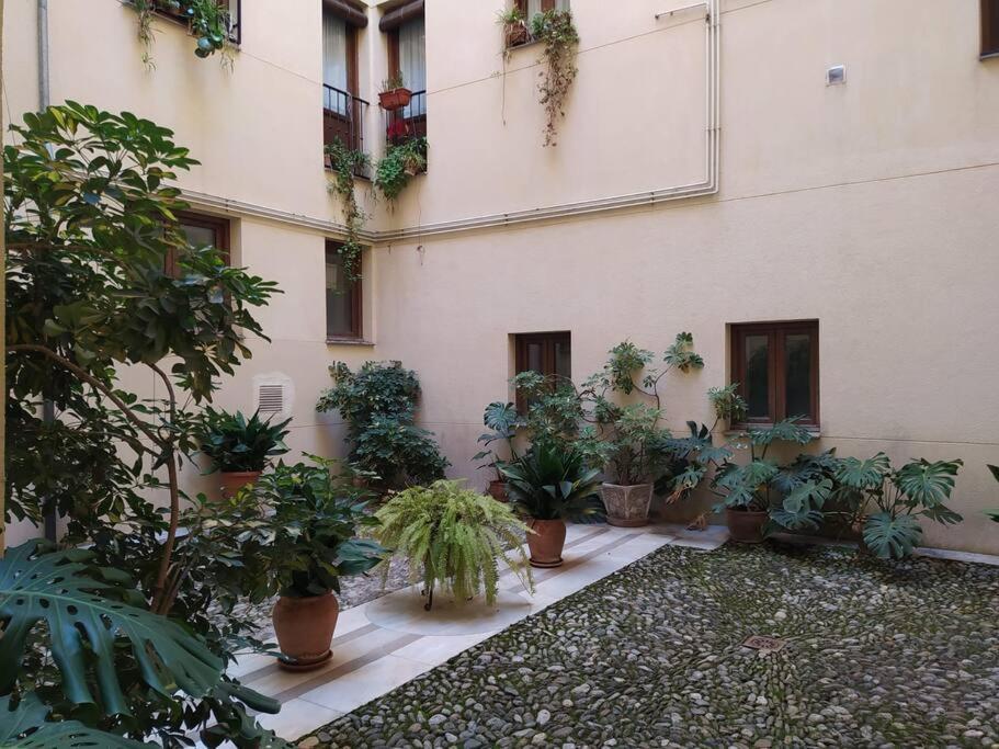 Apartment 4 Balconies House, And Near The Alhambra