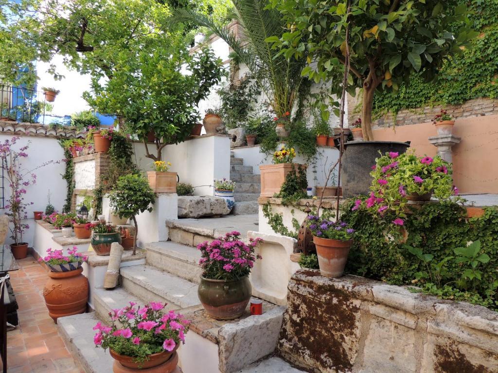 Palacio Del Cobertizo De Santa Ines Bed and breakfast