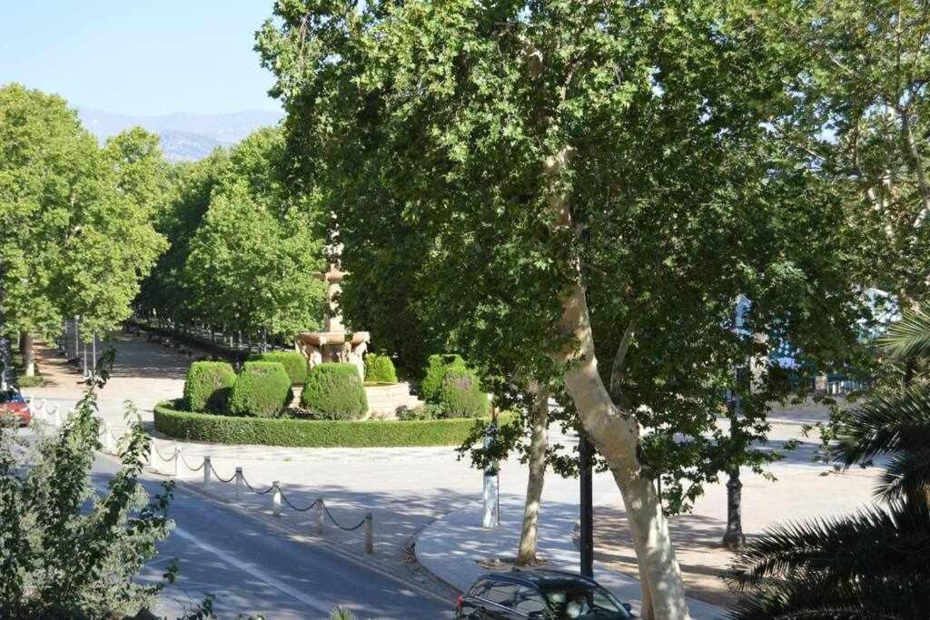 Apartamento Lirio De Agua Centro Apartamento Granada