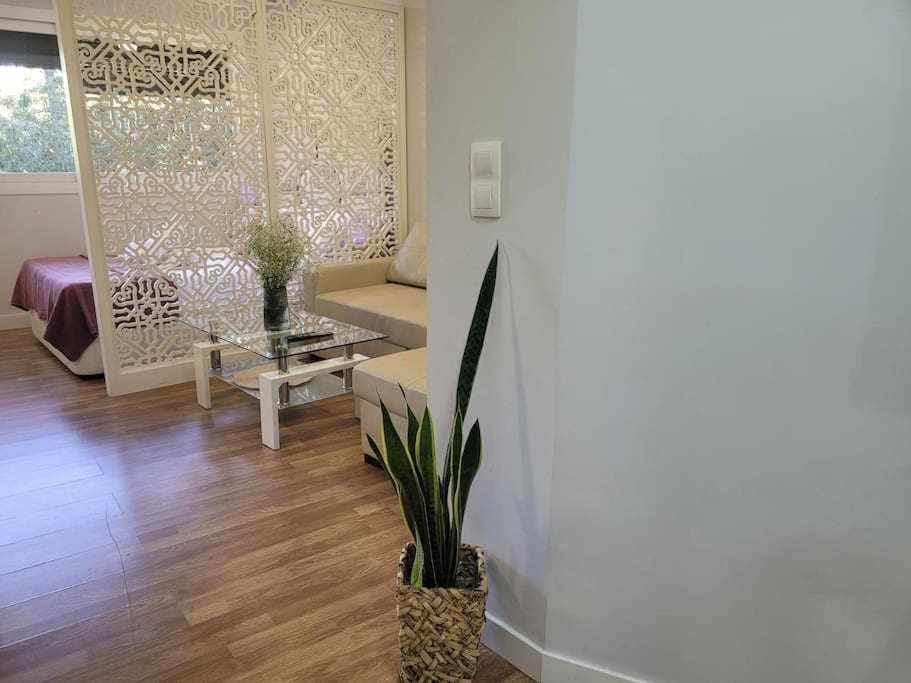 Apartamento Lirio De Agua Centro