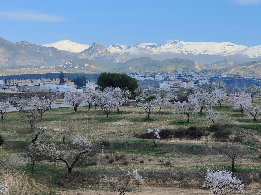 Villa Terracota, Lujo En Y Sierra Nevada Granada