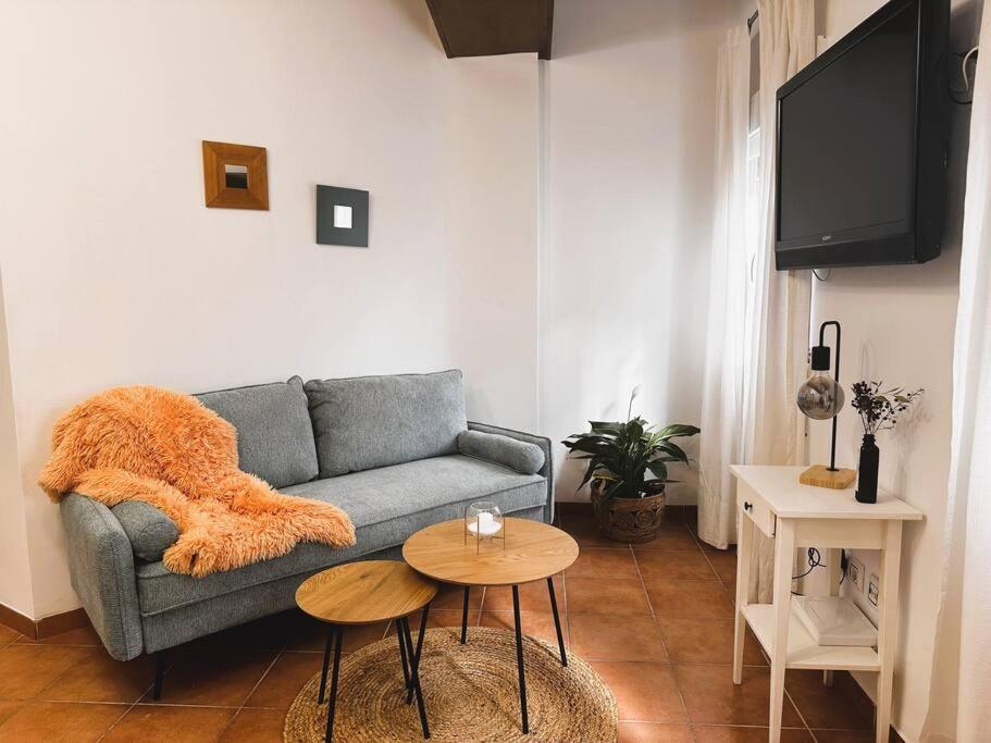 La Casa Azul. Centro Apartamento Granada